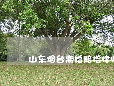 山东烟台离婚赔偿律师有哪些