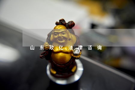 山东玫亿法律咨询 山东玫亿法律咨询