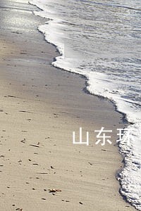 山东环宇集团有限公司诉讼