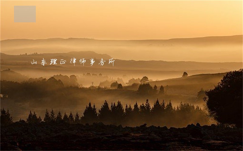 山东理正律师事务所 山东理正律师事务所
