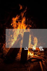 山东电子诉讼服务中心 山东电子诉讼服务中心