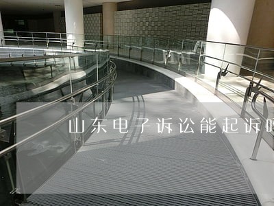 山东电子诉讼能起诉吗