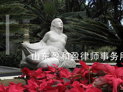 山东盈和盈律师事务所怎么样 山东盈和盈律师事务所怎么样