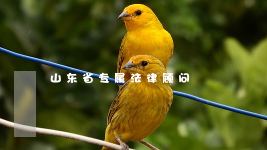 山东省专属法律顾问 山东省专属法律顾问