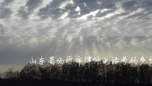 山东省临沂市律师电话号码多少 山东省临沂市律师电话号码多少
