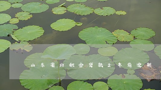 山东省公积金贷款2年前逾期 山东省公积金贷款2年前逾期