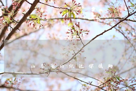 山东省公证法律援助 山东省公证法律援助