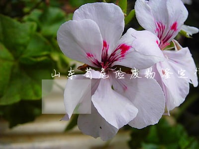 山东省危险废物鉴定律师咨询专线 山东省危险废物鉴定律师咨询专线