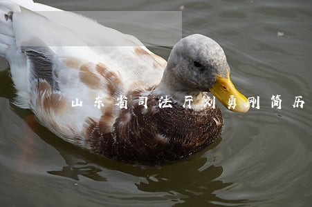 山东省司法厅刘勇刚简历