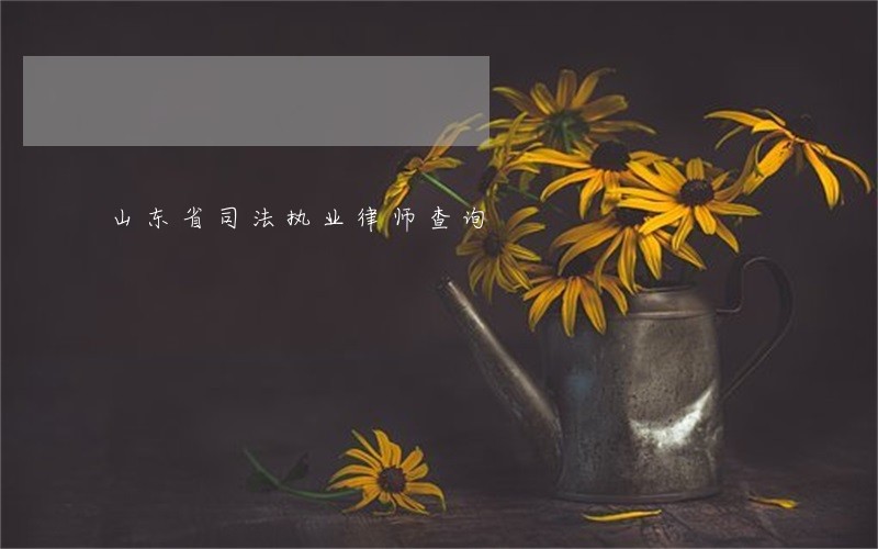 山东省司法执业律师查询 山东省司法执业律师查询