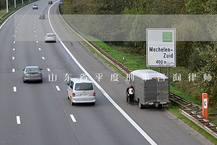 山东省平度刑事咨询律师 山东省平度刑事咨询律师