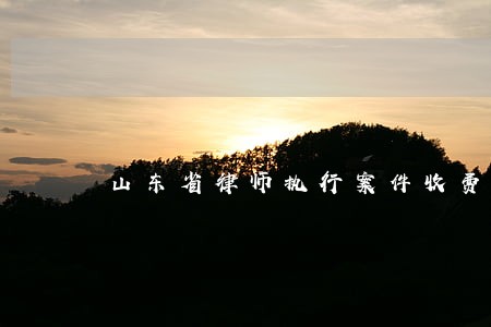 山东省律师执行案件收费标准 山东省律师执行案件收费标准