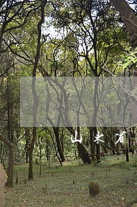 山东省政协聘请40名法律顾问 山东省政协聘请40名法律顾问