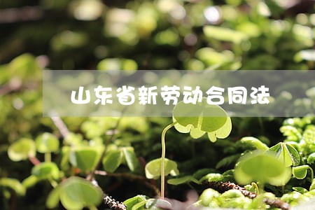 山东省新劳动合同法 山东省新劳动合同法