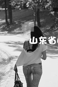 山东省曲镭律师