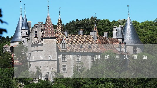 山东省机动车非现场违法查询