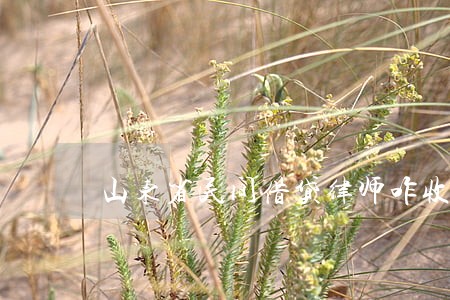 山东省民间借贷律师咋收费 山东省民间借贷律师咋收费