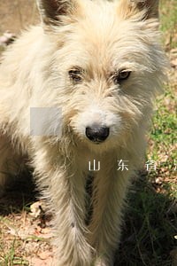 山东省法律援助中心 山东省法律援助中心