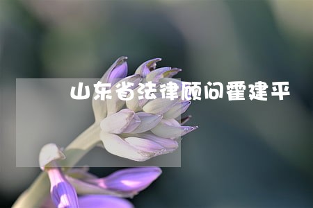 山东省法律顾问霍建平 山东省法律顾问霍建平