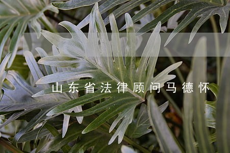 山东省法律顾问马德怀 山东省法律顾问马德怀