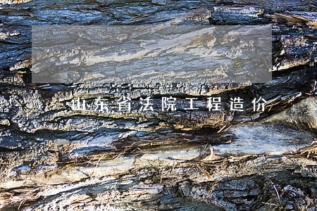 山东省法院工程造价 山东省法院工程造价