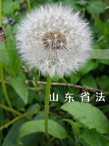 山东省法院待遇好不好 山东省法院待遇好不好
