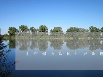 山东省法院执行局陈迪 山东省法院执行局陈迪