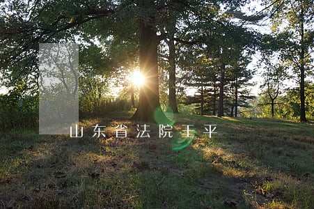 山东省法院王平 山东省法院王平