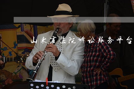 山东省法院诉讼服务平台 山东省法院诉讼服务平台