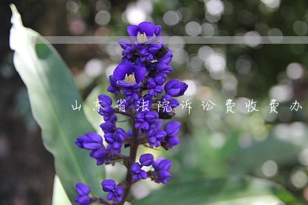 山东省法院诉讼费收费办法 山东省法院诉讼费收费办法