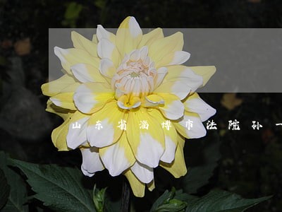 山东省淄博市法院孙一文