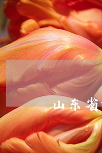 山东省滨州法律顾问律师哪个好