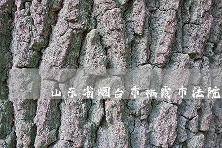 山东省烟台市栖霞市法院拍卖的车