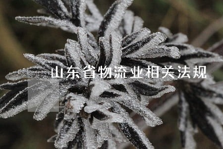山东省物流业相关法规