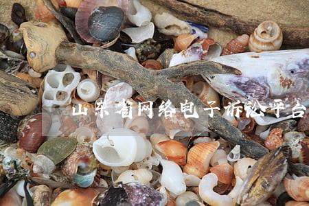 山东省网络电子诉讼平台
