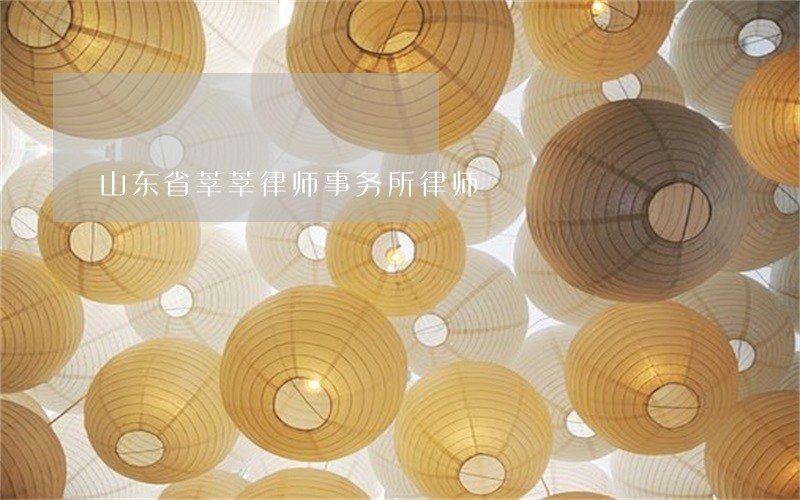 山东省莘莘律师事务所律师 山东省莘莘律师事务所律师