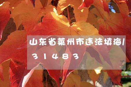山东省莱州市违法填海/2023013031483 山东省莱州市违法填海/2023013031483