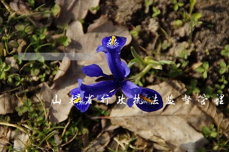 山东省行政执法监督管理平台