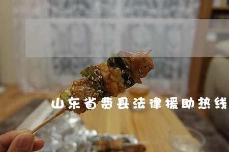 山东省费县法律援助热线