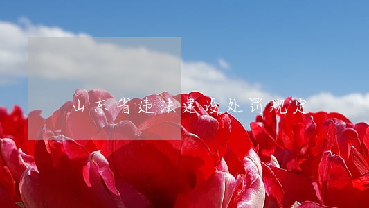 山东省违法建设处罚规定