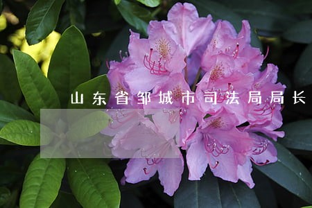 山东省邹城市司法局局长 山东省邹城市司法局局长