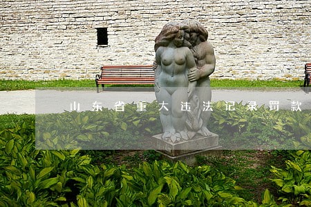 山东省重大违法记录罚款标准 山东省重大违法记录罚款标准