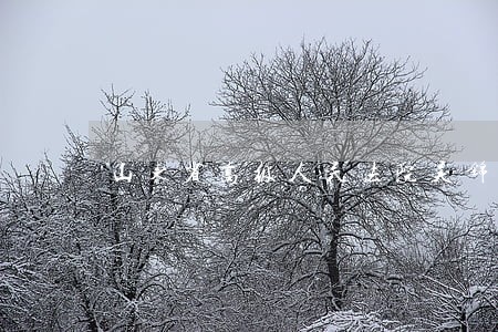 山东省高级人民法院吴锦标 山东省高级人民法院吴锦标