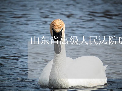 山东省高级人民法院康靖