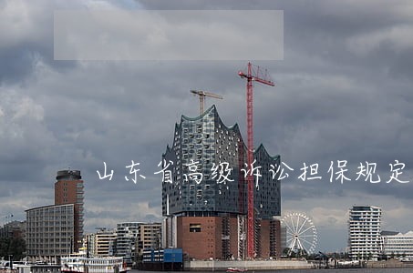 山东省高级诉讼担保规定
