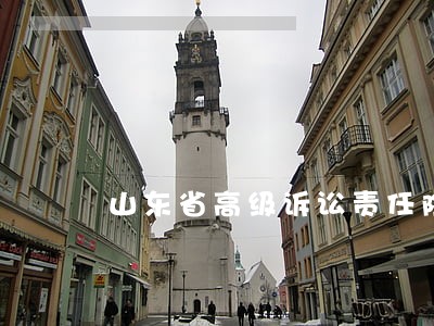 山东省高级诉讼责任险