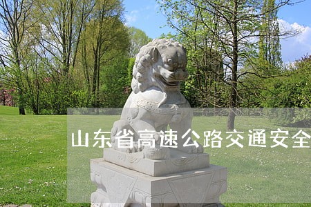 山东省高速公路交通安全条例 山东省高速公路交通安全条例