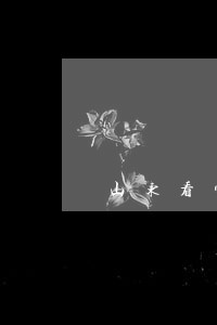 山东看守所会见律师排名 山东看守所会见律师排名