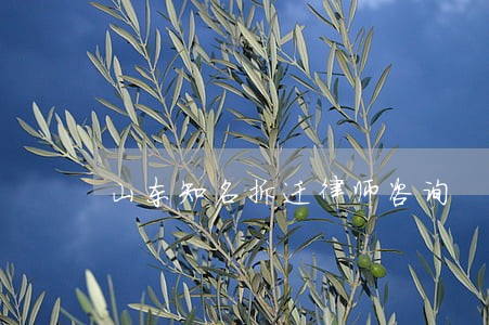 山东知名拆迁律师咨询 山东知名拆迁律师咨询