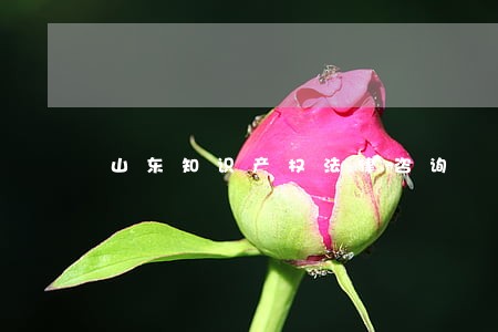 山东知识产权法律咨询 山东知识产权法律咨询